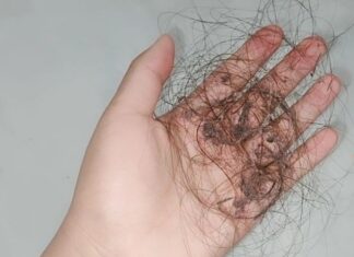 The Hair Shedding Struggle: 10 Easy Tips to Keep Your Home Hair-Free