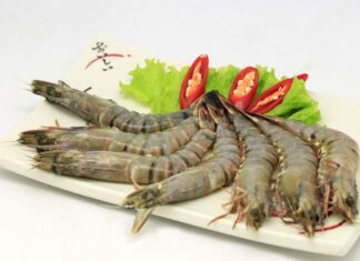 The Secret to Keeping Shrimp Fresh: Don’t Refrigerate, Try These 4 Tips Instead