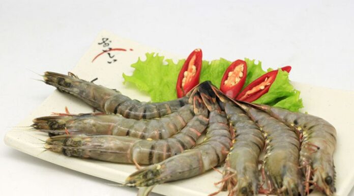 The Secret to Keeping Shrimp Fresh: Don’t Refrigerate, Try These 4 Tips Instead