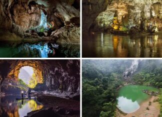 The Ultimate Caving Experience: Exploring the Top 5 Caves in Quang Binh