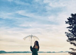 The Ultimate Guide to Cloud-Chasing in Dalat: 8 Breathtaking Spots for Million-Dollar Views