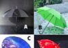 The Ultimate Guide to Choosing the Right Umbrella for Your Personality