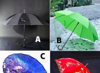 The Ultimate Guide to Choosing the Right Umbrella for Your Personality