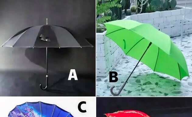 The Ultimate Guide to Choosing the Right Umbrella for Your Personality