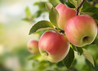 Unveiling Your Year-End Fortune: A Psychological Test with a Fruity Twist