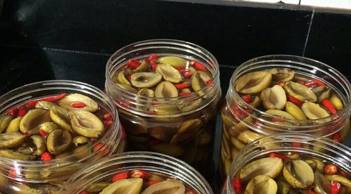 The Ultimate Guide to Making Delicious Fermented Shrimp: A Clear, Tangy Treat