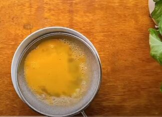 The Ultimate Guide to Making Paper-Thin, Golden, and Odorless Egg Pancakes