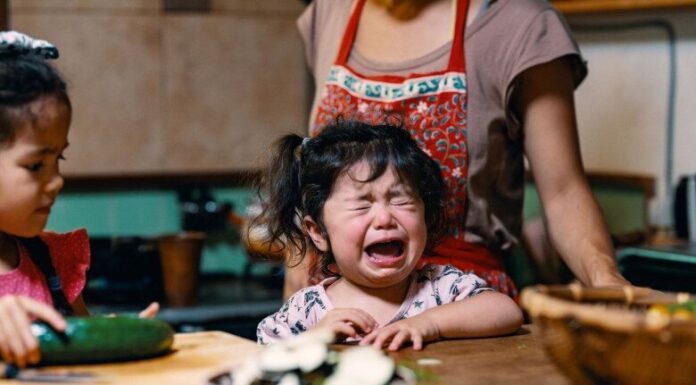 The Tantruming Toddler: A Mother’s Guide to Managing Meltdowns with Expert Tips