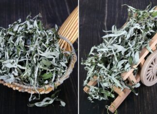 The Magical Benefits of Hanging Wormwood Bags by Your Bedside: Uncover the Ancient Practice That Promotes Wellbeing and a Peaceful Slumber