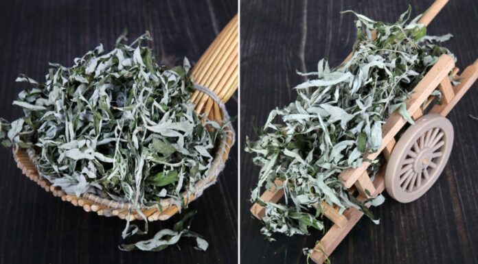 The Magical Benefits of Hanging Wormwood Bags by Your Bedside: Uncover the Ancient Practice That Promotes Wellbeing and a Peaceful Slumber