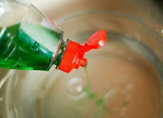 The Humid Weather Brings an Onslaught of Mosquitos: Place This Bowl of Water in Your Room and Say Goodbye to the Buzzing Pest