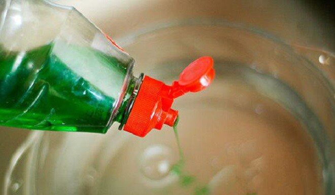 The Humid Weather Brings an Onslaught of Mosquitos: Place This Bowl of Water in Your Room and Say Goodbye to the Buzzing Pest