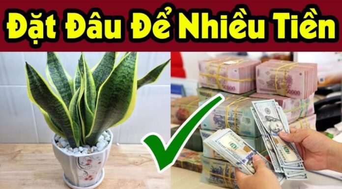 The Power of the Tiger Tongue: Inviting Prosperity and Protection. A Strategic Guide to Tiger Tongue Plant Placement for Optimal Wealth and Fortune.