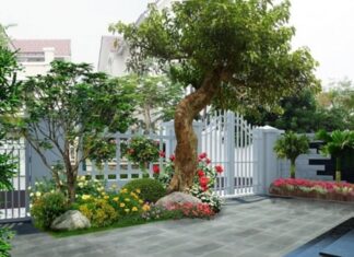 The Front Yard’s Secret to Success: Unveiling the Power of Greenery for Abundance and Prosperity