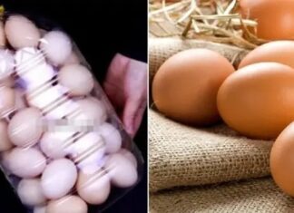 The Ultimate Guide to Packing Eggs with a Cooking Oil Bottle