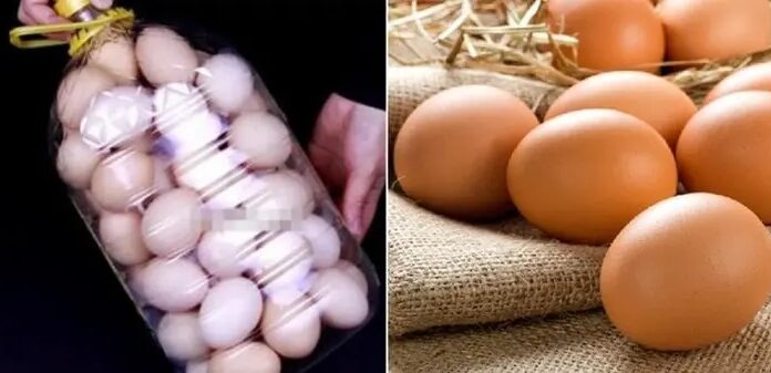 The Ultimate Guide to Packing Eggs with a Cooking Oil Bottle