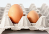 “The Great Egg Debate: Size Matters?”