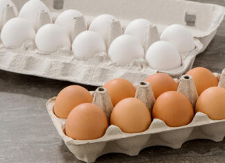 Should You Choose Brown or White Eggs?