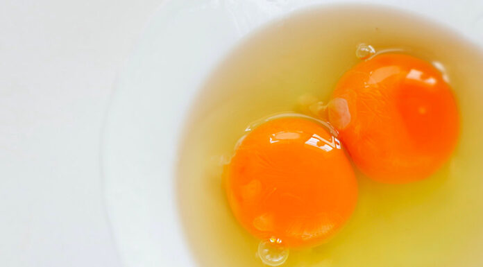 Does a Double-Yolk Egg Offer More Nutritional Benefits Than a Single-Yolk Egg?