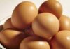 The Ultimate Guide to Egg Storage: 3 Simple Rules to Keep Your Eggs Fresh and Safe All Year Round