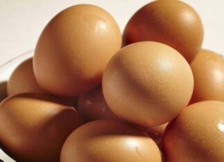 The Ultimate Guide to Egg Storage: 3 Simple Rules to Keep Your Eggs Fresh and Safe All Year Round