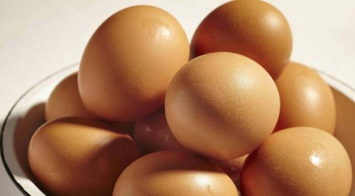 The Ultimate Guide to Egg Storage: 3 Simple Rules to Keep Your Eggs Fresh and Safe All Year Round