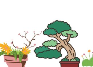 “The Ancient Wisdom of Prosperity: A Tree’s Fortune”