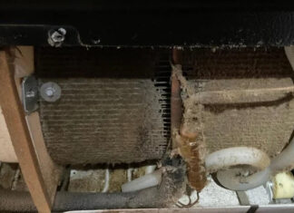 The Secret Compartment: Why You Should Deep Clean Your Fridge’s Back Panel Every Six Months