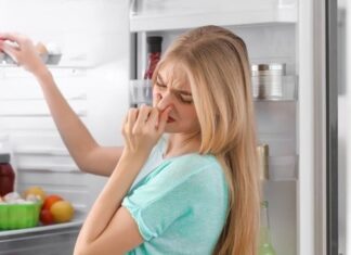 The Ultimate Hack: Transform Your Life by Storing Toilet Paper in the Fridge