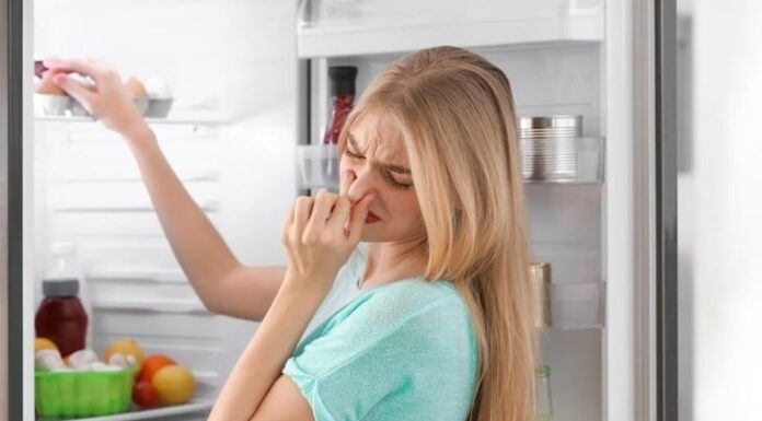 The Ultimate Hack: Transform Your Life by Storing Toilet Paper in the Fridge
