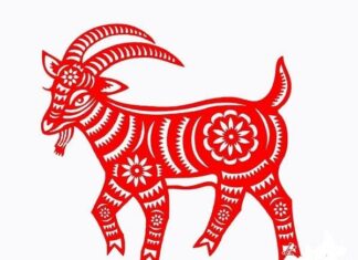 The Lucky Four: Zodiac Signs Embracing Wealth and Prosperity From September 30th Onwards