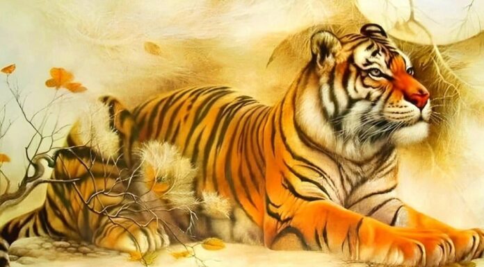 The 3 Zodiac Animals That Attract Wealth By Loving and Spoiling Their Wives