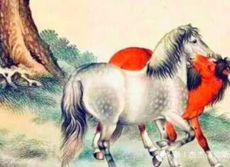 The Pre-Lunar New Year Transformation: A New Chapter of Prosperity and Abundance for Those Aged Three and Above