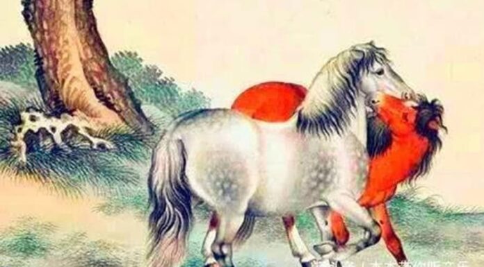 The Pre-Lunar New Year Transformation: A New Chapter of Prosperity and Abundance for Those Aged Three and Above