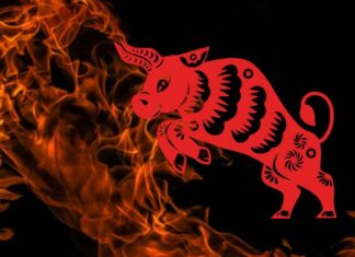 The Lucky Number to Bring Wealth and Fortune to the 12 Chinese Zodiacs