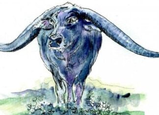 The Lucky Ones: Unlocking Prosperity in the Year of the Black Snake, 2025. A Fortunate Age of Three, but Beware the Dangers of the Tai Years.