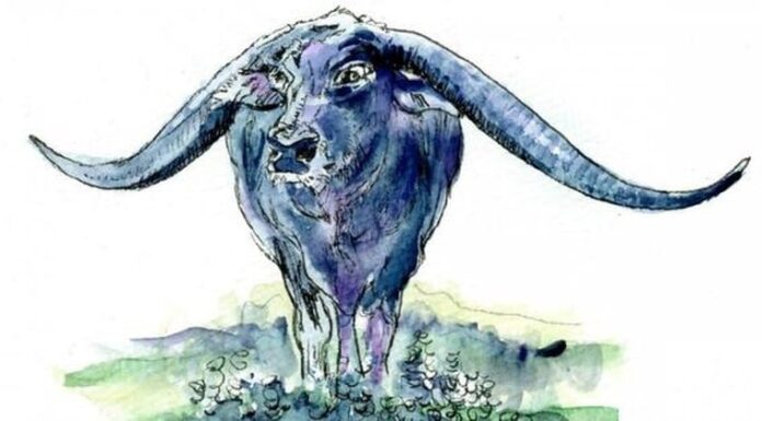 The Ultimate Guide to Wealth: Unveiling the Second Richest Zodiac Sign, Outshining All Others, Especially the Third.