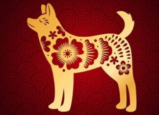 The Fortunes of 1994’s Jia Tuat Generation Post-40: Life’s Great Turning Point