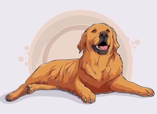 The Lucky Three: Unlocking Prosperity for Seven Consecutive Days