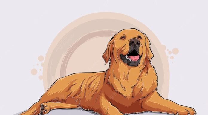 The Lucky Three: Unlocking Prosperity for Seven Consecutive Days