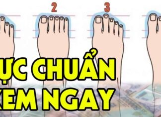 The Privileged Life: The Sole of Luxury and Opulence