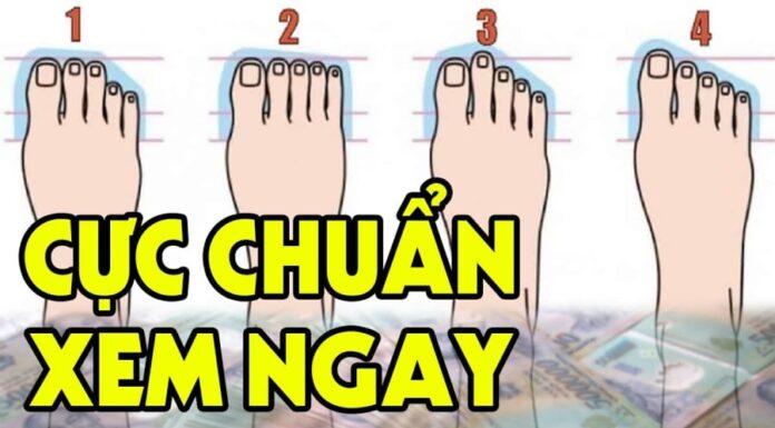 The Privileged Life: The Sole of Luxury and Opulence