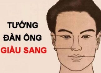 The Rich Man’s Guide: 3 Traits of Success.