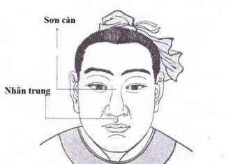 The Privileged Jawline: Aging with Abundance