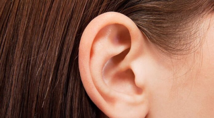 The Fortunate Few: A Lucky Sign of Wealth and Prosperity
—