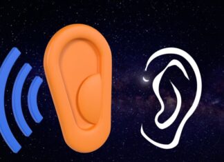 The Ancient Art of Fortune Telling: Unlocking the Secrets of Wealth and Prosperity Through Ear Reading