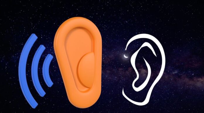 The Ancient Art of Fortune Telling: Unlocking the Secrets of Wealth and Prosperity Through Ear Reading