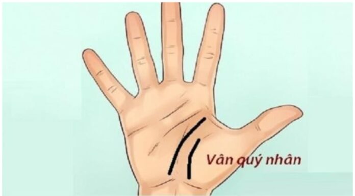 The Wealthy Palm: 3 Signs of Prosperity in Your Hands