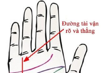 The Ancient’s Wisdom: 9 Palm Lines That Attract Wealth and Prosperity