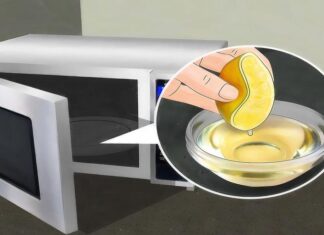 The Ultimate Guide to Odor Removal: A Microwave Miracle